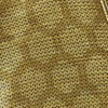 Amber Gold Honeycomb Print Kurta Set
